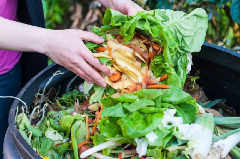 Peterborough County is reviewing a possible countywide organic waste diversion program.