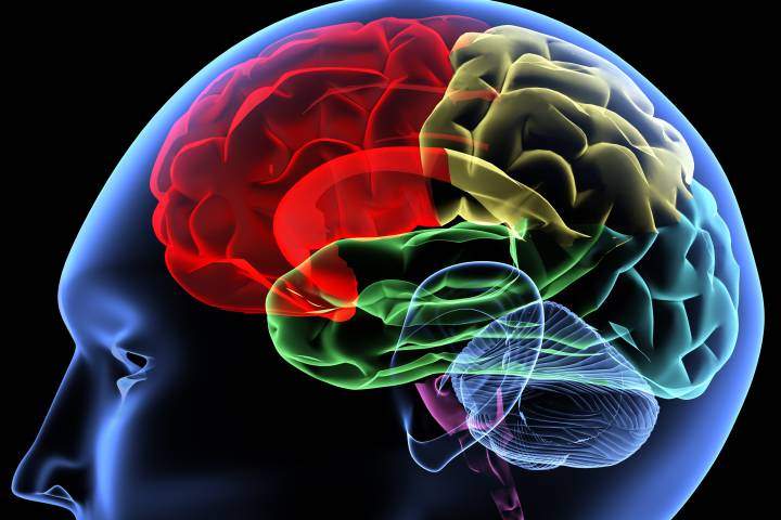 Cases of ADHD diagnosed in adulthood are on the rise, study suggests - image