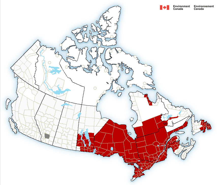 Regions marked in red are bracing for extreme cold on Feb. 13, 2016.
