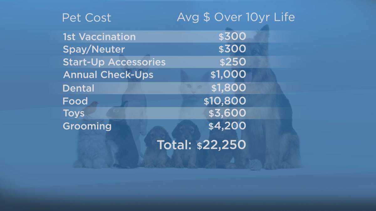 The realistic cost of pet ownership in Sask. tops $20K - image