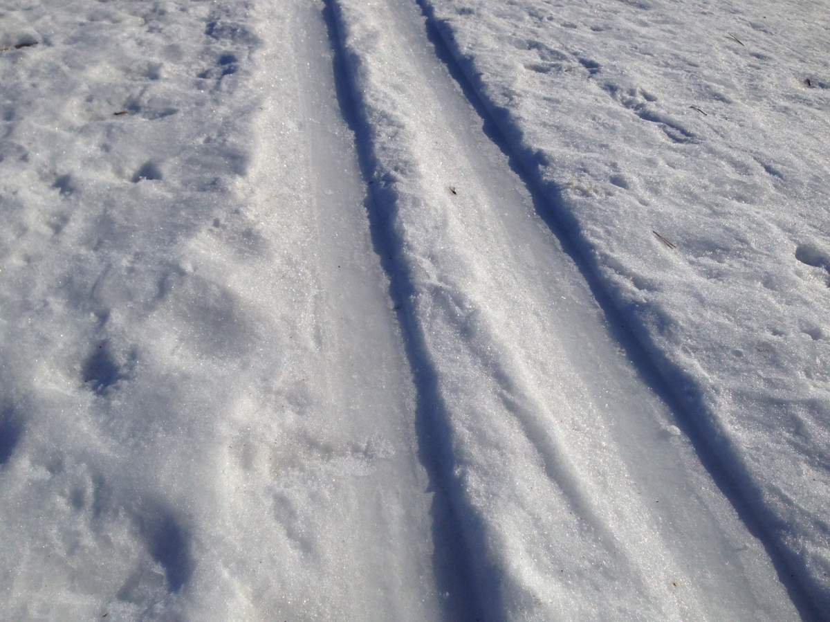 Warm weather challenging winter activities in Edmonton - image