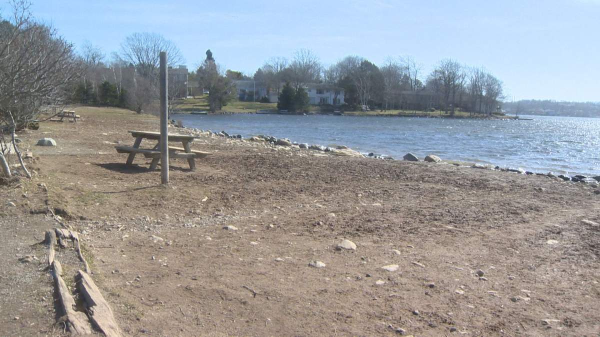 Residents across the water said the barking at the beach has become "intolerable".