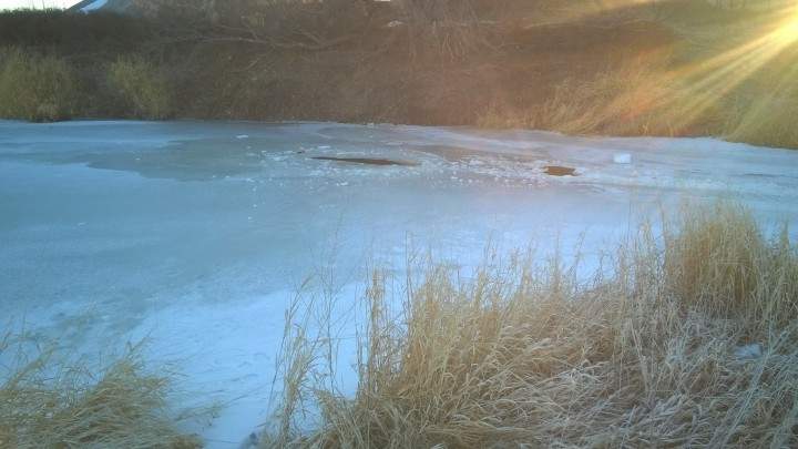 On Feb. 22, Swift Current firefighters rescued a deer that was drowning in the icy Swift Current Creek, then warmed her with blankets and jackets. She was then released back into the wild.
