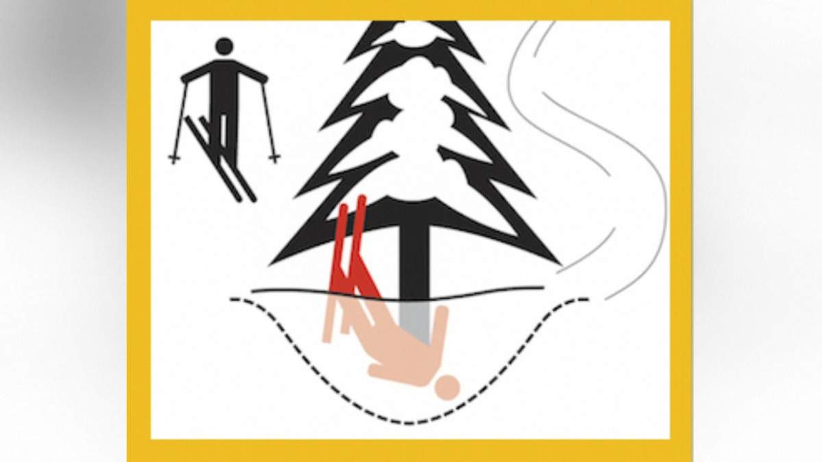 Caught on camera: Father rescues son trapped in tree well snow - image