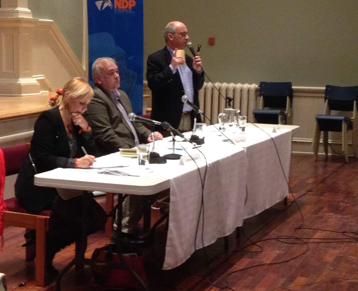 Lenore Zann, Dave Wilson  and Gary Burrill are all vying for the leadership of the provincial NDP party.