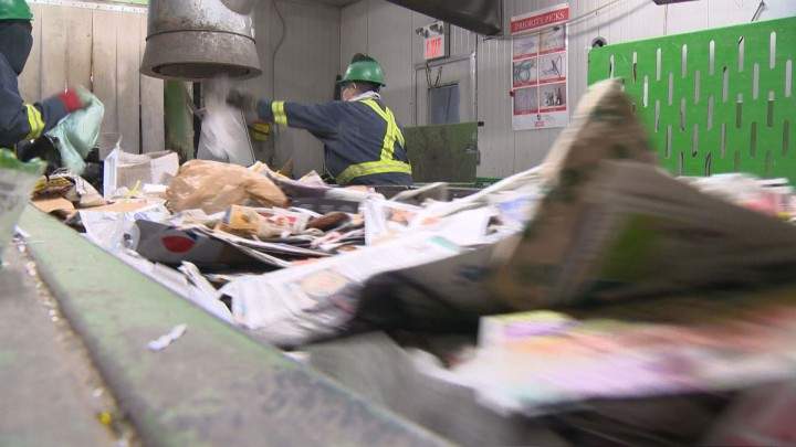 Saskatoon feline avoids cat-astrophe at recycling facility - image