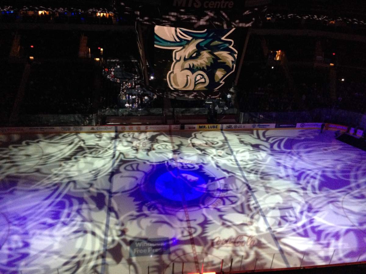 Manitoba Moose release Jiri Fronk - image