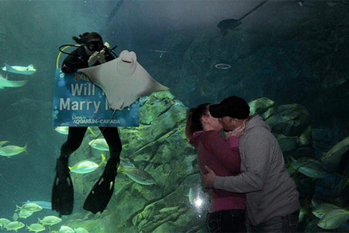 A stringray photobombed this couple’s magic moment at Toronto’s Ripley’s Aqarium Monday.