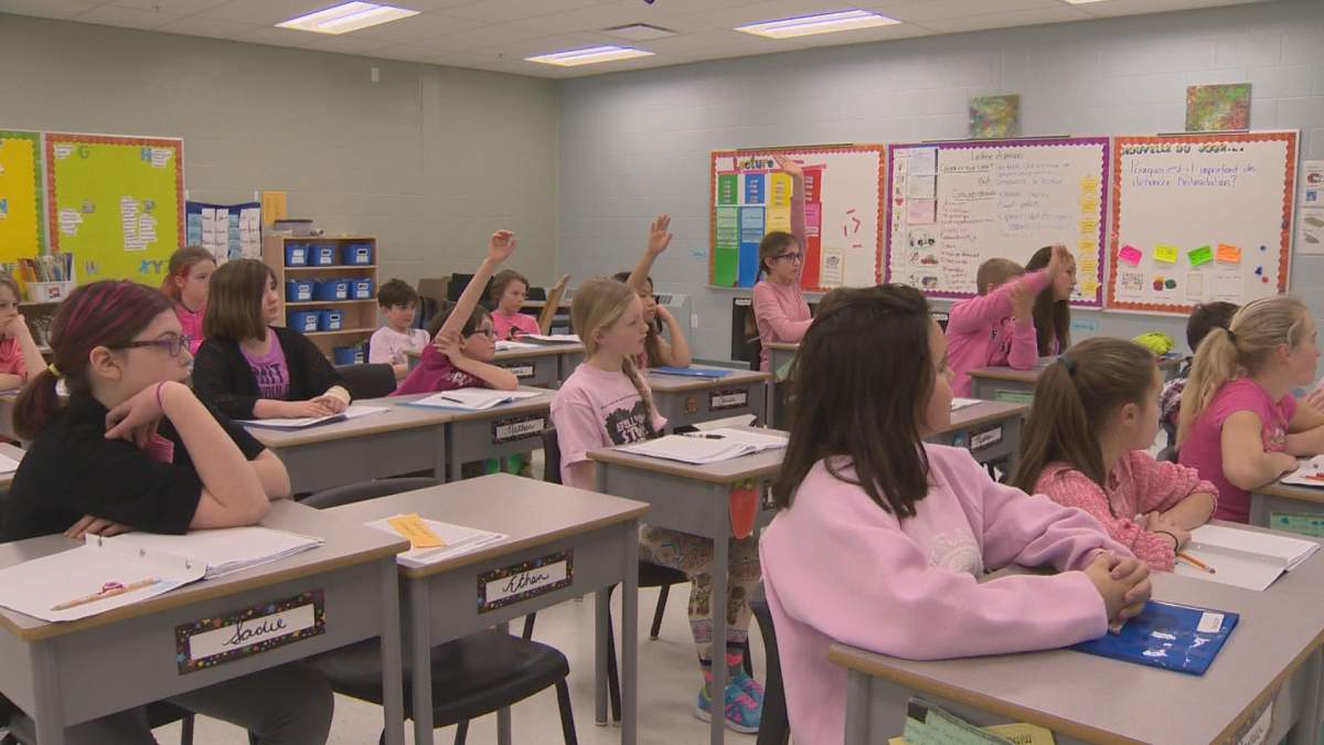 Hamilton school board develops new bullying prevention handbook - image