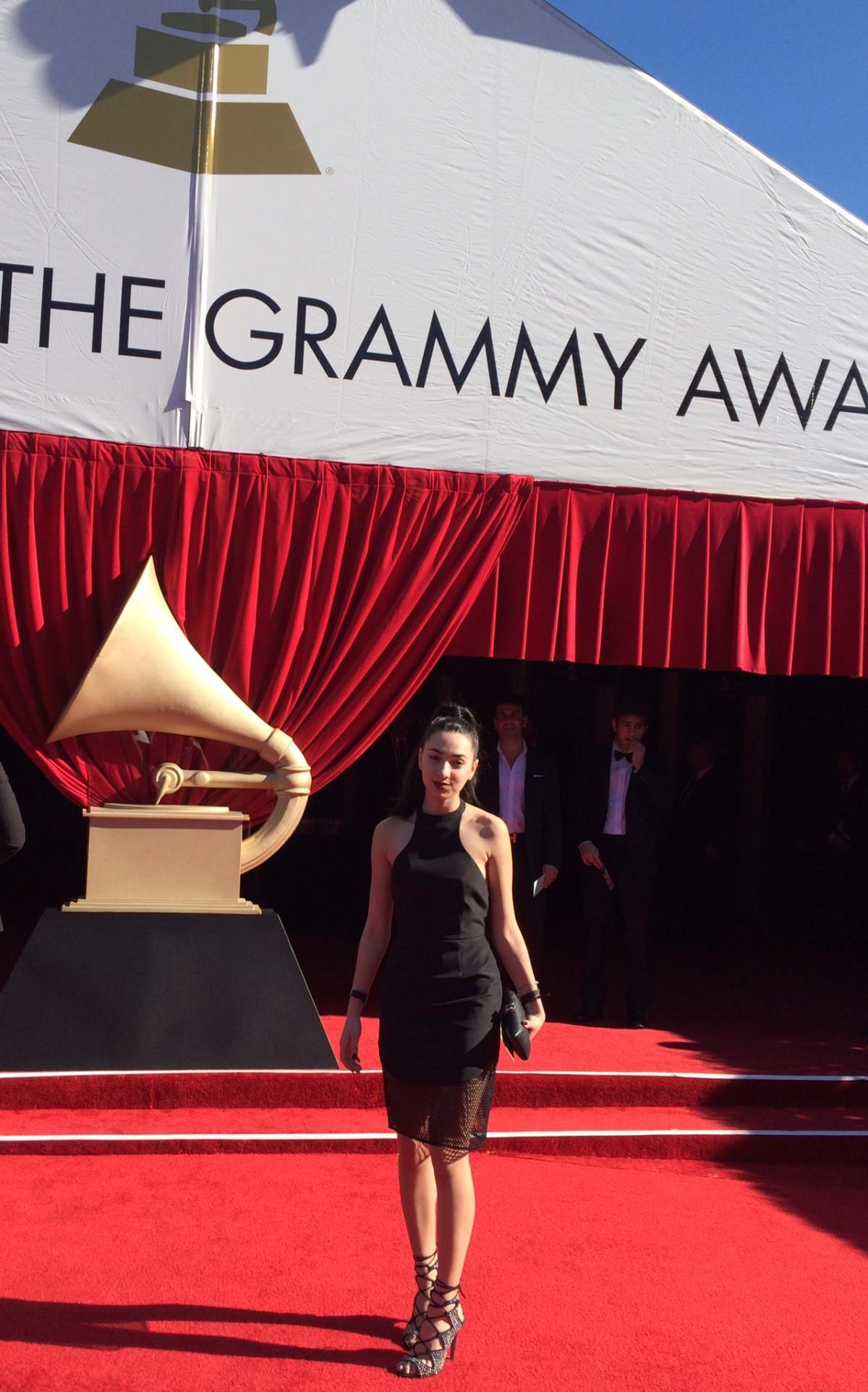 Cynthia Ghosn is pictured here on the Red Carpet at the 2016 Grammy Awards.