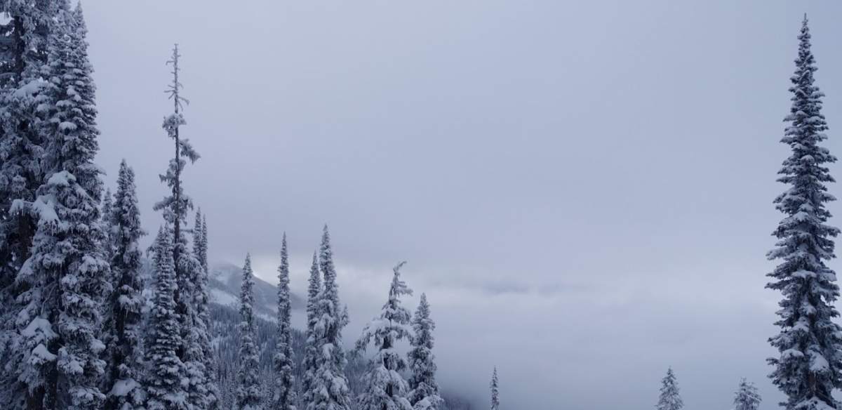 Missing snowboarder found at Revelstoke Mountain Resort - image