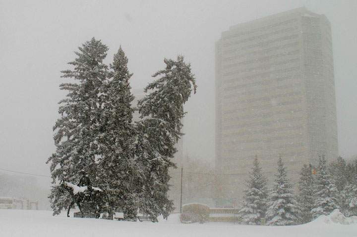 Feb. 20: This Your Saskatchewan photo was taken by Ian Robertson in Saskatoon.