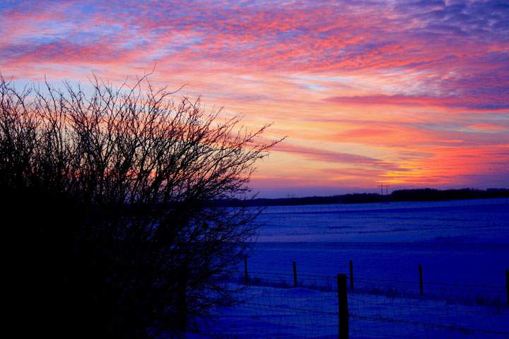 Feb. 14: This Your Saskatchewan photo was taken by Ronald Chaplin near Floral.