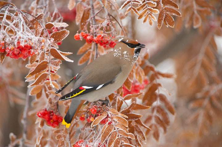 Feb. 28: This Your Saskatchewan photo was taken by Garfield MacGillivray at Quill Lake.