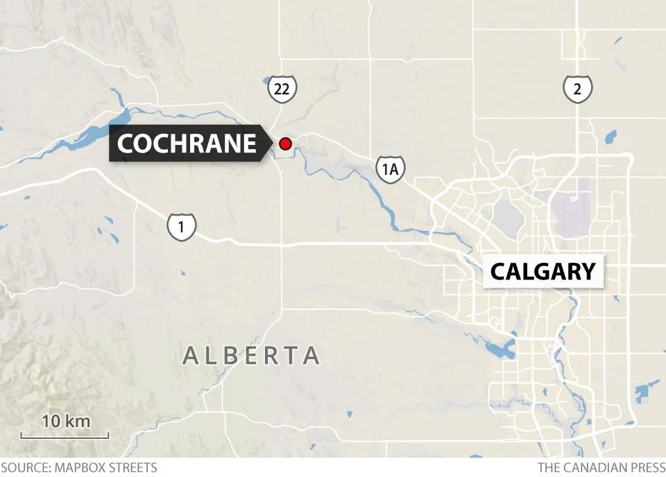 4 people shot during funeral at Muslim Cemetery outside Calgary - image