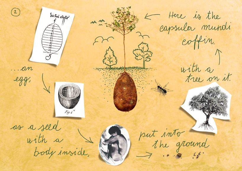 Biodegradable burial pods will turn you into a tree when you die - image