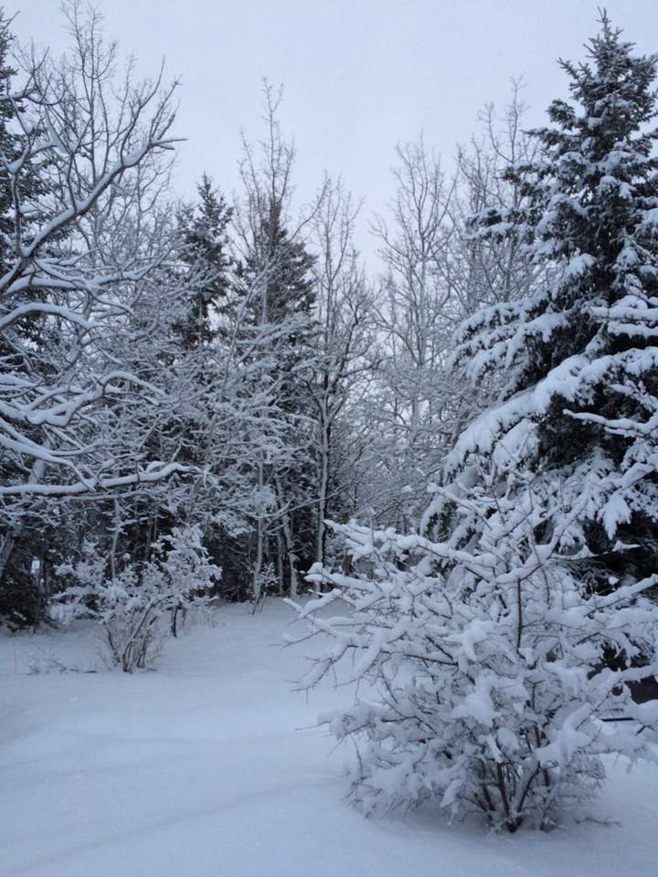 March 16: Chris snapped this Your Saskatchewan photo in Glaslyn, where 12 cm of snow has come down over the past few days.