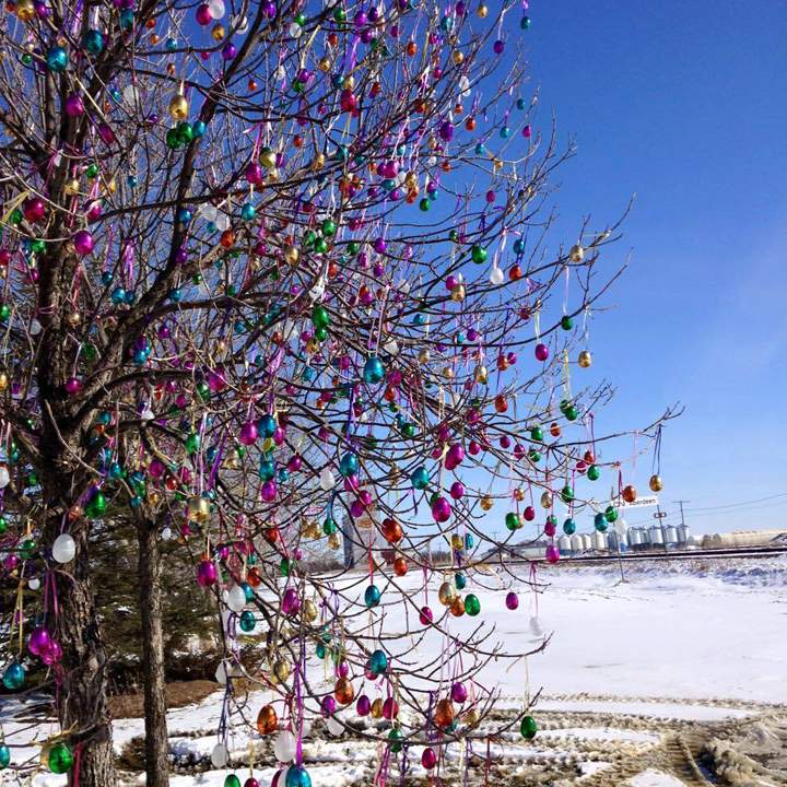 March 27: This Your Saskatchewan photo was taken by Marcea Malinowski in Aberdeen of a local fundraising idea.