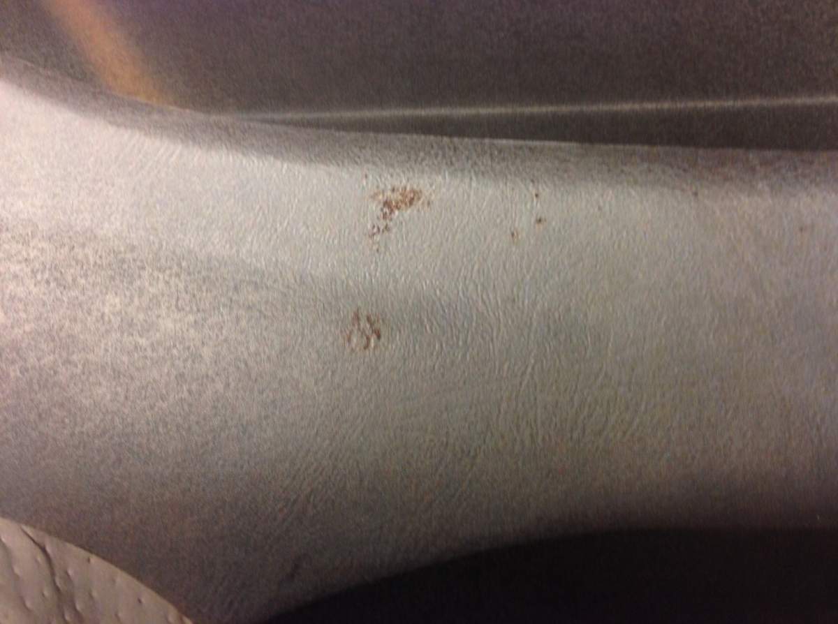 Blood stains on the doorframe of a truck presented as evidence in the Calgary trial of Ryan Lane.