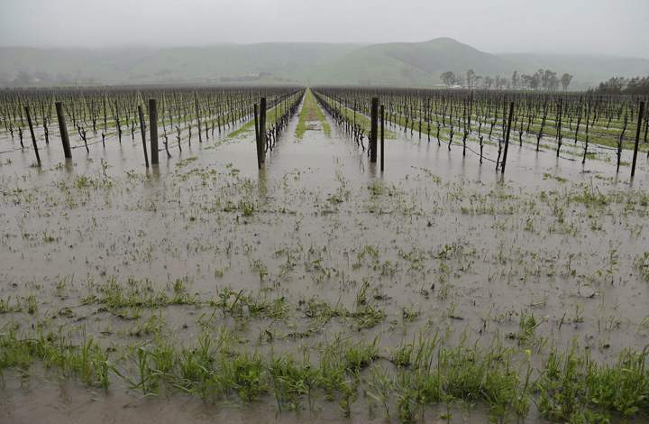 Runoff from heavy rain flows into vineyards in Sonoma, Calif. The ongoing deluge of storms in Northern California has swelled lakes and dams, boosting the prospects for outdoor recreation but likely falling short of ending the drought. 