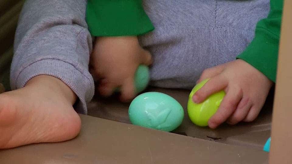 Caught on camera: adults steal Easter eggs off lawn meant for boy with Down syndrome - image