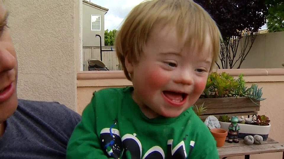 Caught on camera: adults steal Easter eggs off lawn meant for boy with Down syndrome - image