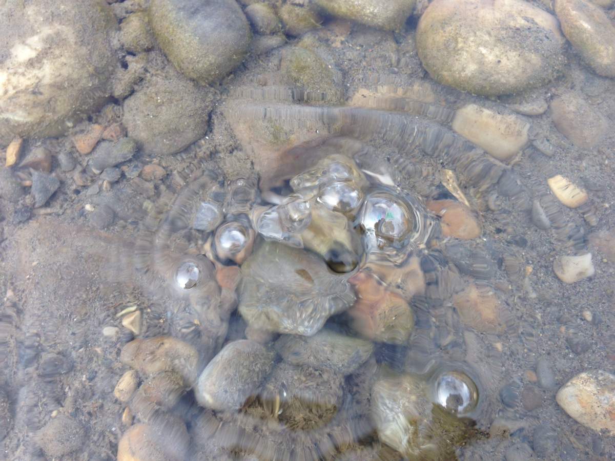 Bubbles can be seen in the Bow River Tuesday afternoon along the north side of St. George’s Island where officials are investigating a gas leak.