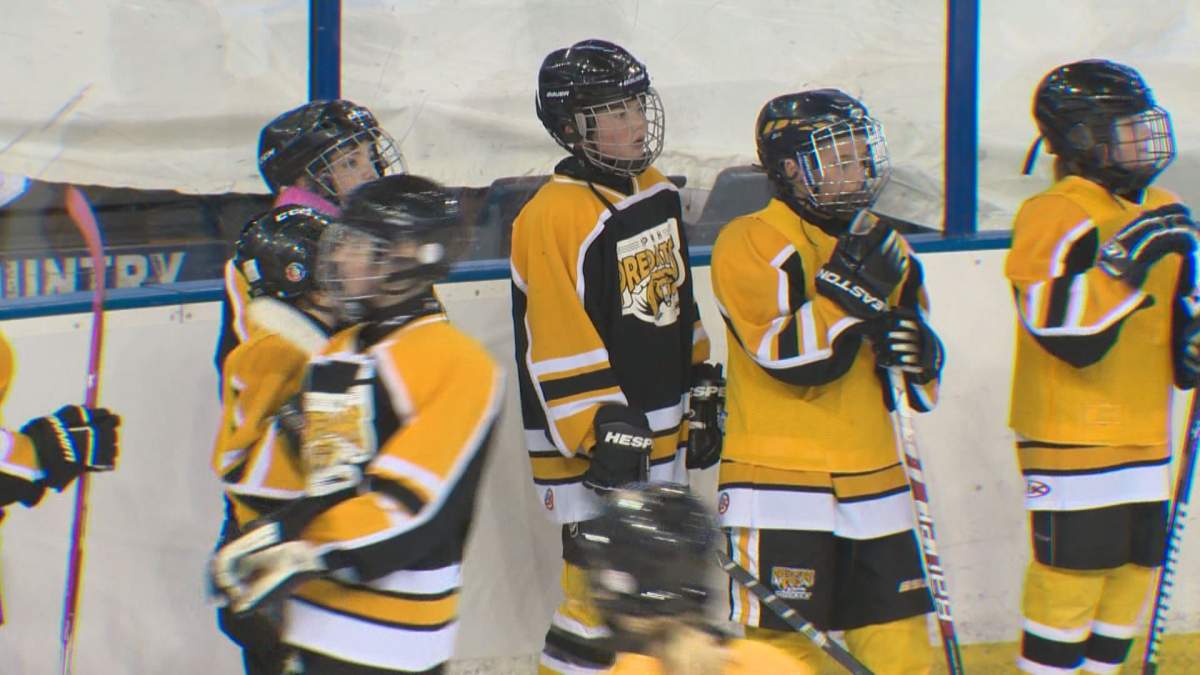 Minor hockey players from across Alberta train with the Edmonton Oilers during a special event Sunday.