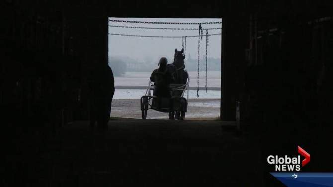 Government of Alberta announces funding plan for horse racing - image