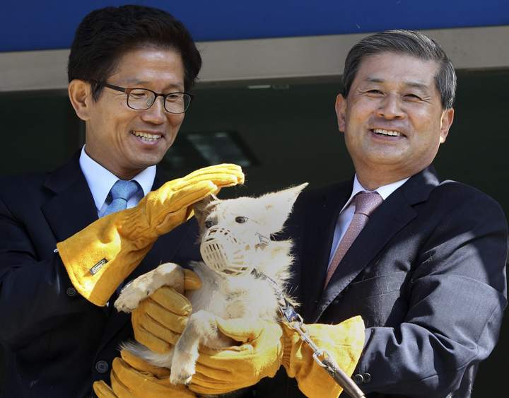 South Korean stem cell scientist Hwang Woo-suk, right, and Gyeonggi Province Governor Kim Moon-su hold a coyote, which was claimed to be cloned, in 2011.