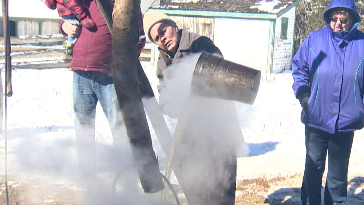 Maple Syrup brings crowd out to Kings Landing’s Sugar Bush Weekend - image