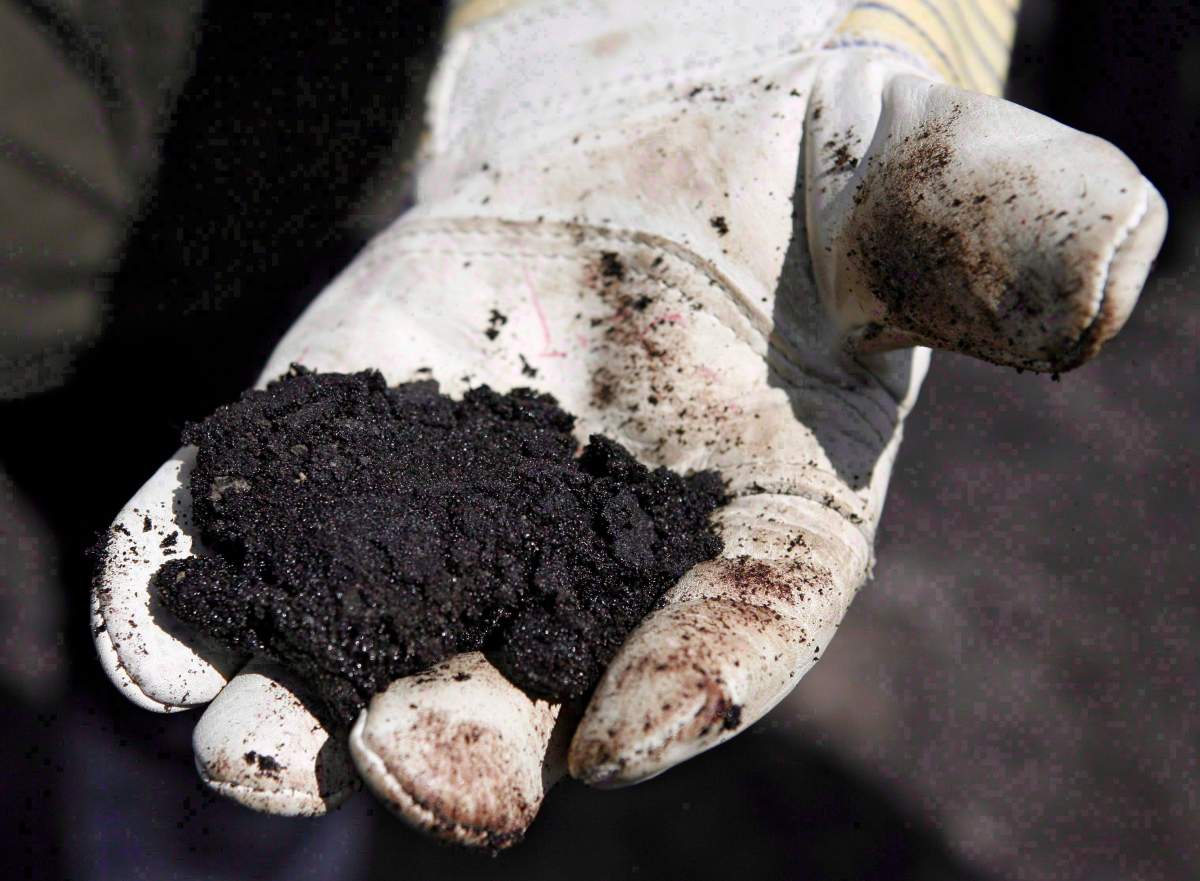 An oil worker holds raw oilsands near Fort McMurray, Alta., on July 9, 2008. THE CANADIAN PRESS/Jeff McIntosh.