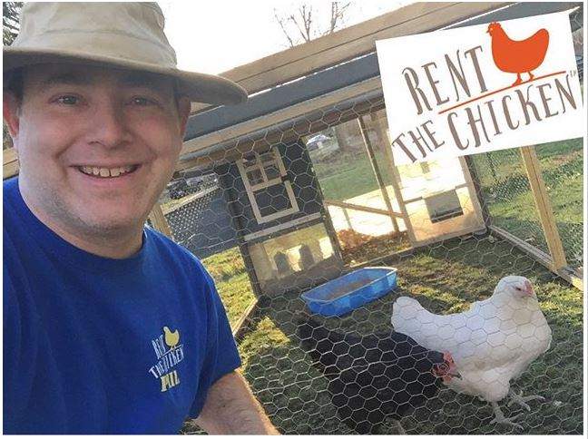 Chickens for rent - image