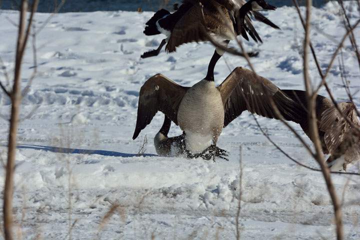 March 5: This Your Saskatchewan photo was taken by Bob Green in Saskatoon.