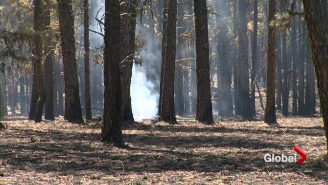 BC Wildfire Service dealing with first wildfires of 2016 - image