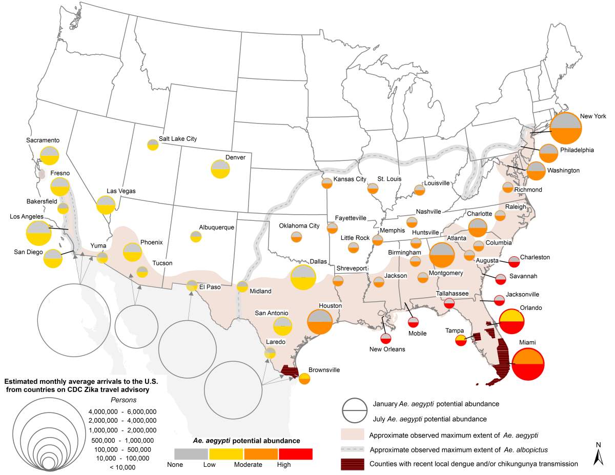 Is the Zika virus coming to a US city near you? - image
