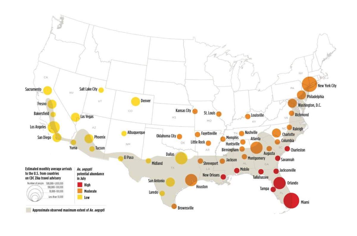 Is the Zika virus coming to a US city near you? - image