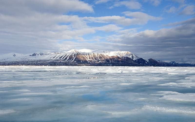 The surface of the frozen arctic ocean begins to melt as the ice thins from above and the action of currents and warmer sea water below. 
