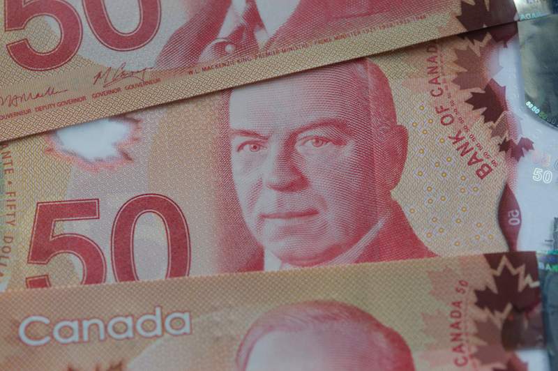 Tax evasion prosecutions fell by almost half across Canada in a three-year period, figures released by the federal justice department show. 