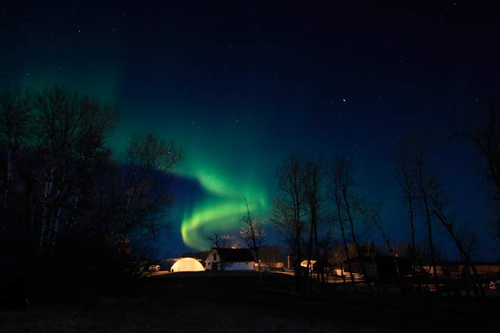 April 19: This Your Saskatchewan photo of the northern lights was taken by Corrine Sheremata near Prince Albert.