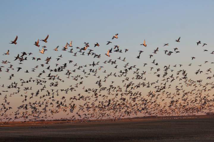 April 24: @gamblei took this Your Saskatchewan photo near Hepburn.