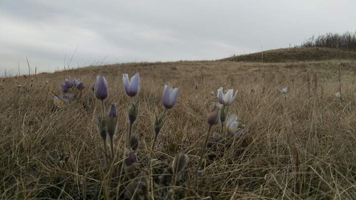 April 27: This Your Saskatchewan photo was taken by Gary Eagle at Whitecap First Nation.