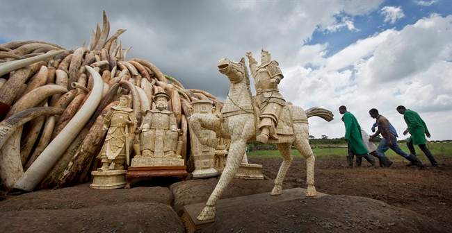 Workers walk past as ivory statues stand in front of one of around a dozen pyres of ivory, in Nairobi National Park, Kenya Thursday, April 28, 2016.