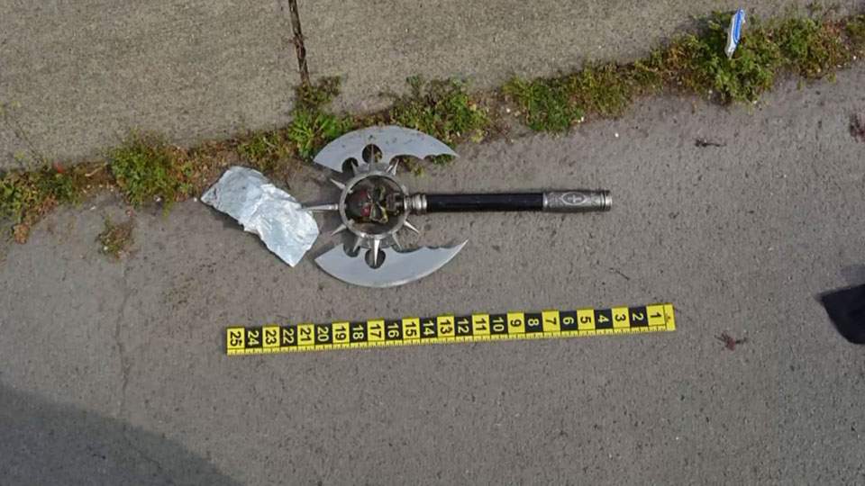 Tennessee woman caught on camera attacking police with medieval-like axe - image