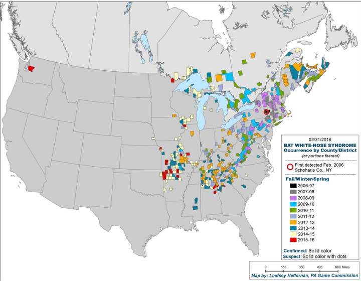 Map depicting the occurrences of white-nose syndrome across Canada and the U.S. since 2006.