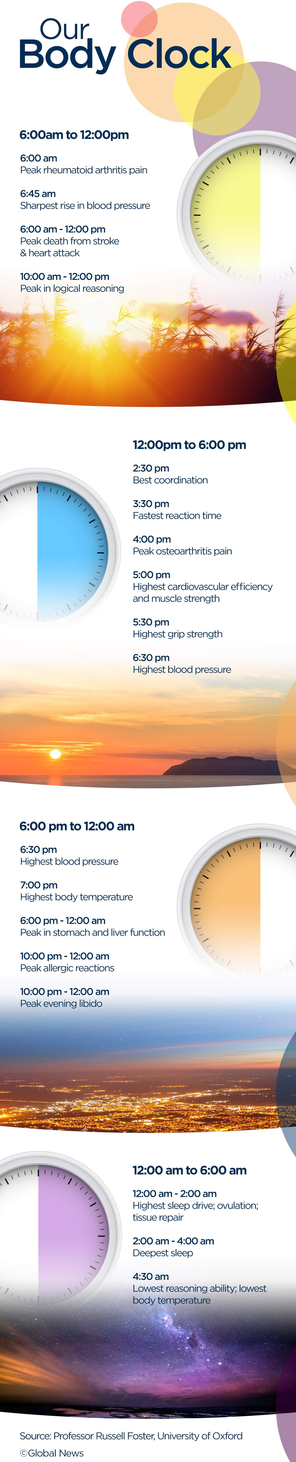 Best time to work out, have sex, and take medicine: Body clock 101 - image