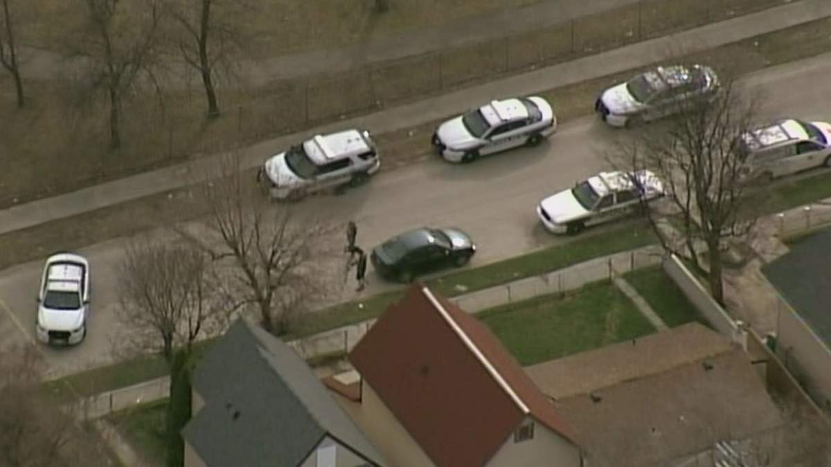 At least six police vehicles are on scene at a serious incident on Alexander Avenue.