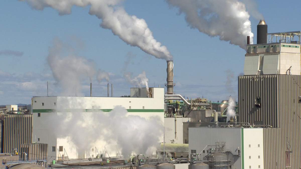 The Irving Pulp and Paper Mill in Saint John, N.B. is pictured. The company is facing 15 counts of polluting the St. John River.