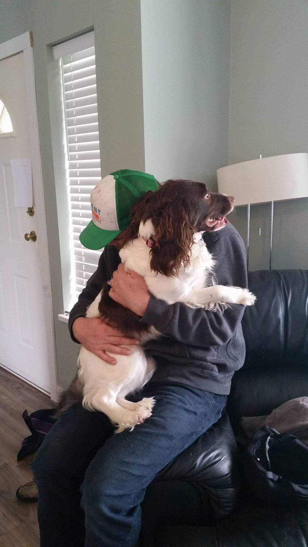 Do you hug your dog? Study suggests they aren’t feeling the love - image
