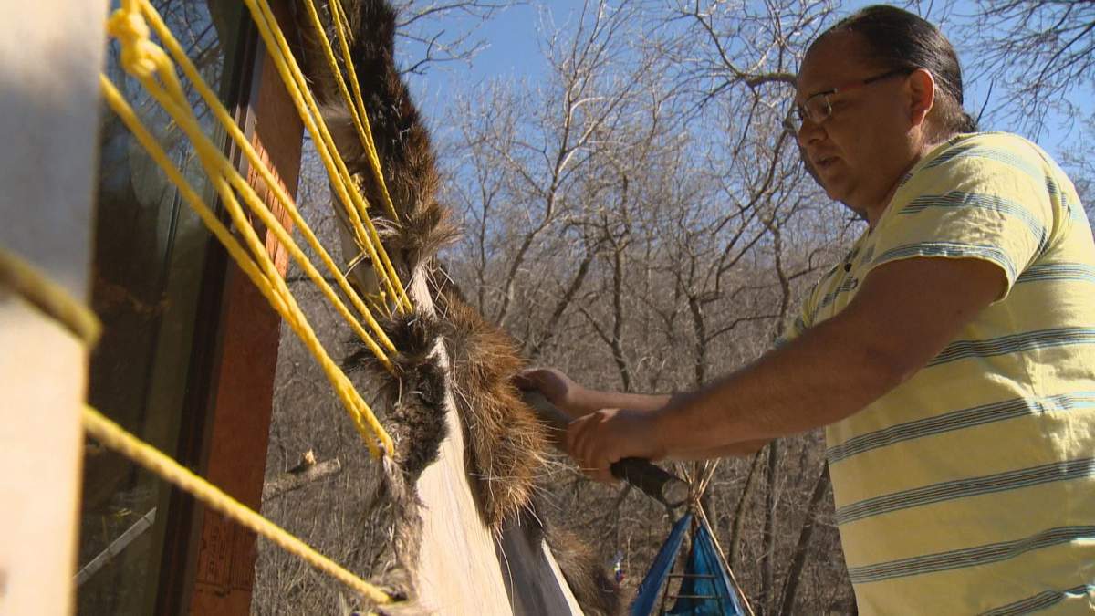 Vee Whitehorse scrapes a moose hide at the Leading Thunderbird Lodge. It's part of his cultural curriculum. 